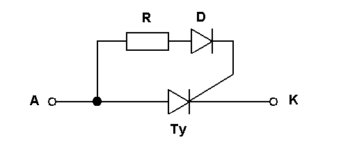 Usmrova 5